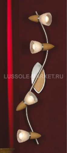 Настенно Потолочный Lussole PROMO CISTERINO LSQ-6419-04